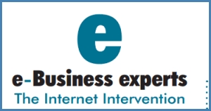 E-Business Experts LLC SEO and online advertising